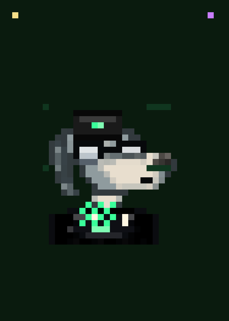 Spaniel #256 — The Programmer